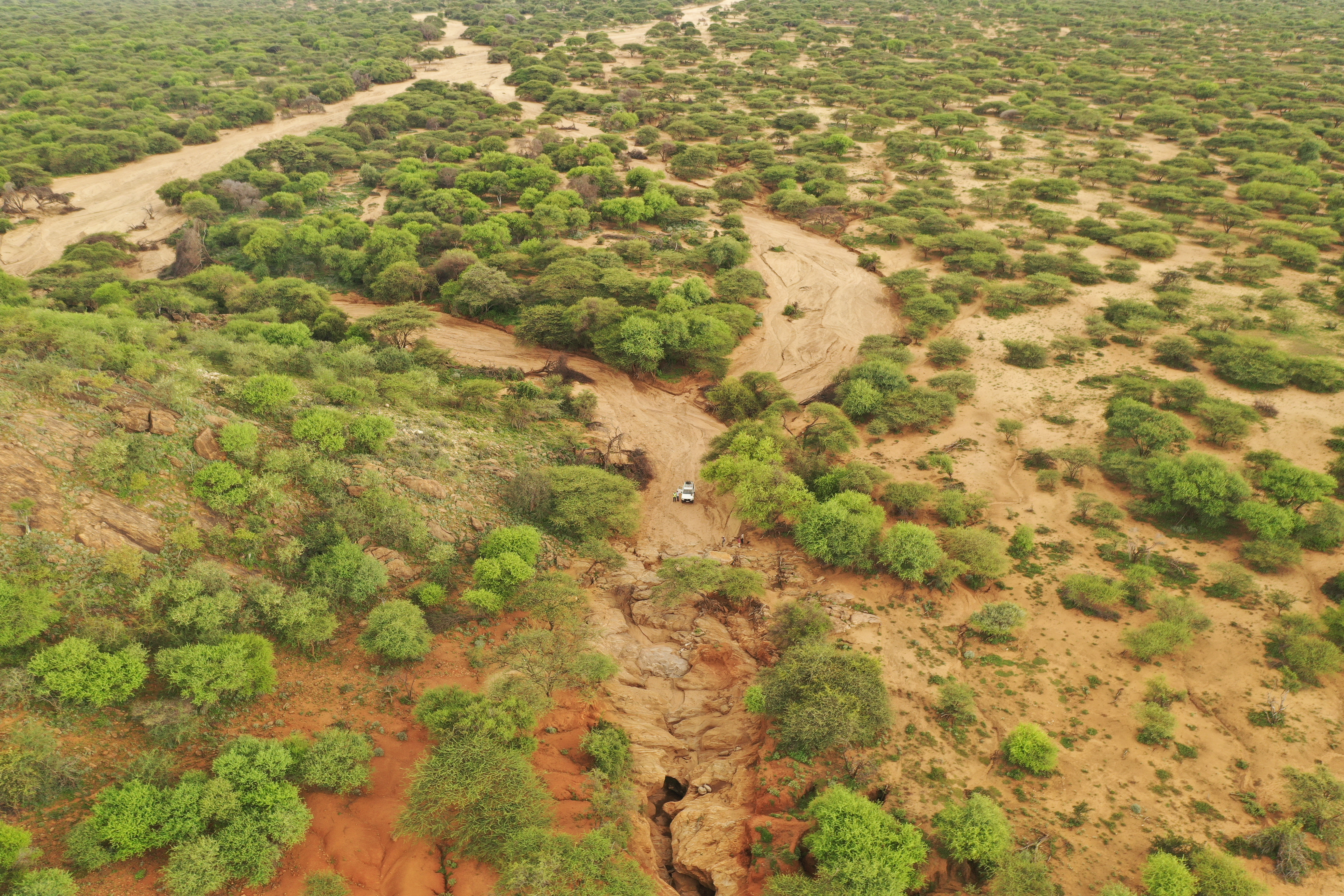 Sustainable water services for multiple uses within selected community conservancies in Kenya
