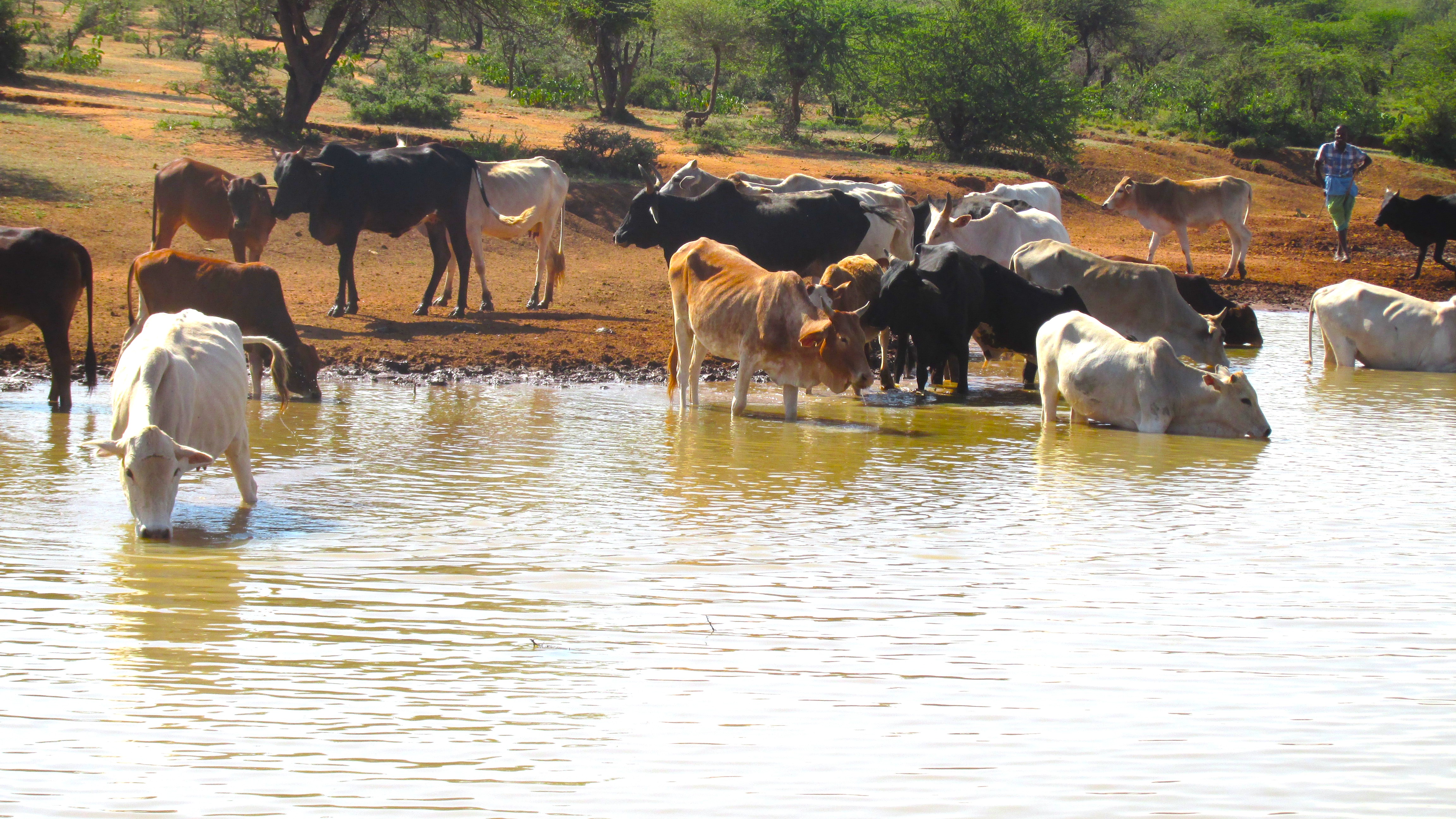 Community conservancy water resources management
