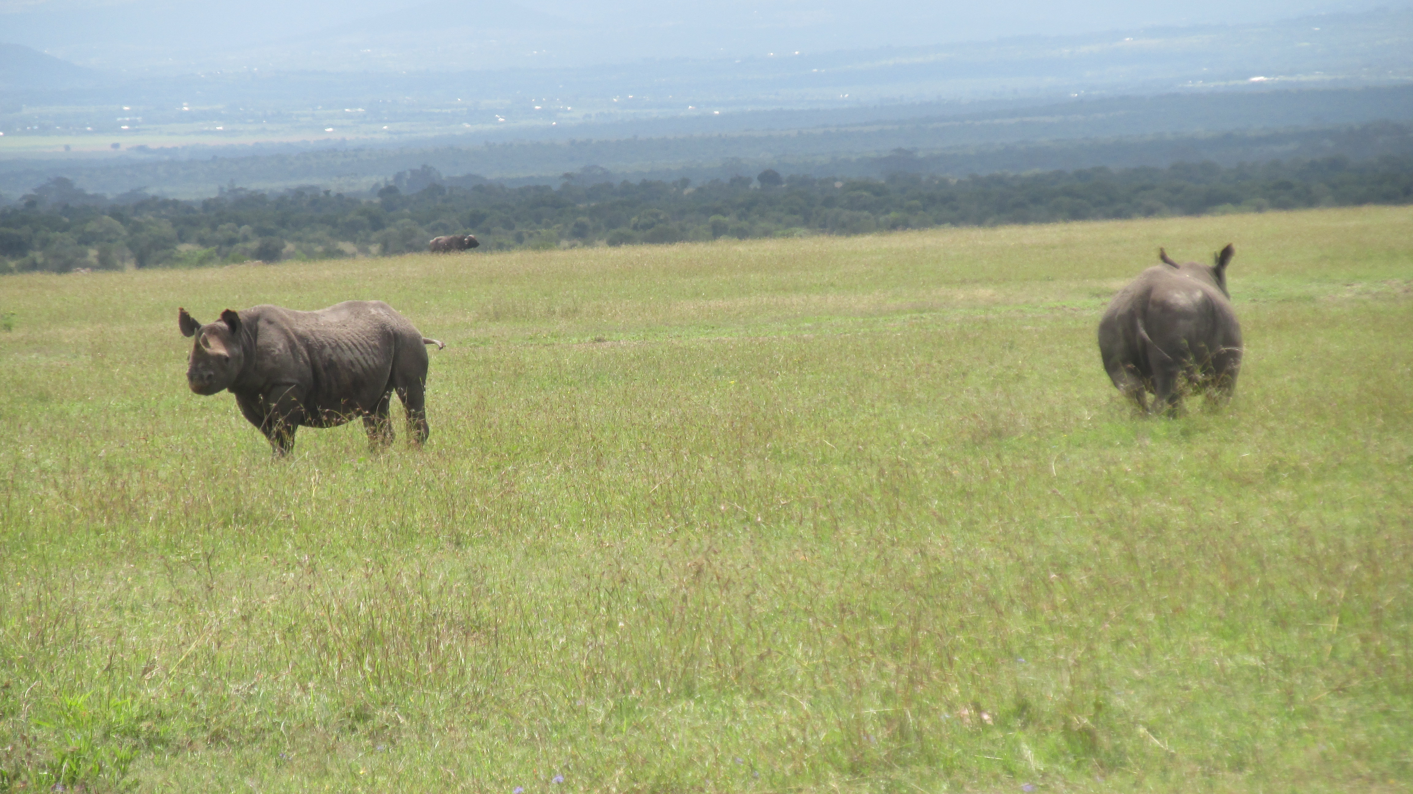 Ol Pejeta 1